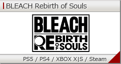 BLEACH Rebirth of Souls